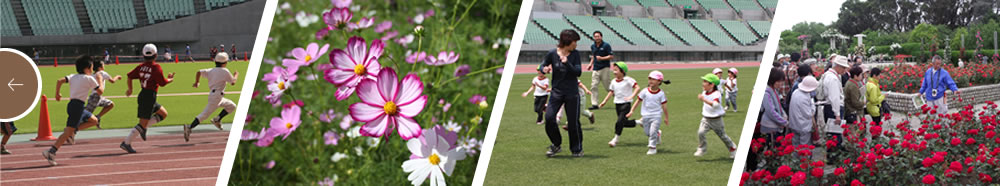 財団法人 大阪府スポーツ・ファイナンス振興協会